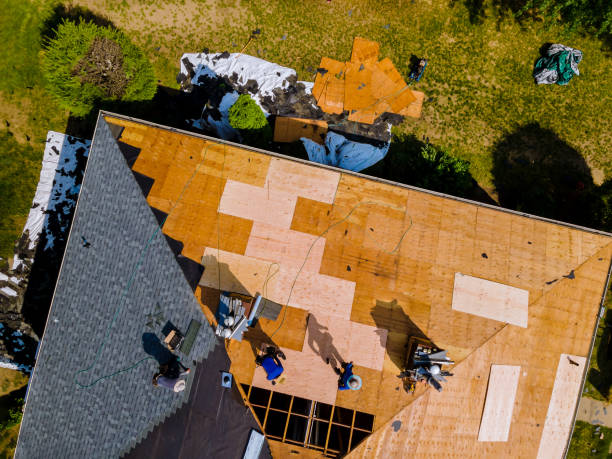 Best Local Roofing Companies  in Tecumseh, NE