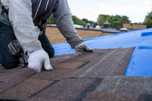 Trusted Tecumseh, NE Roofing Contractor Experts