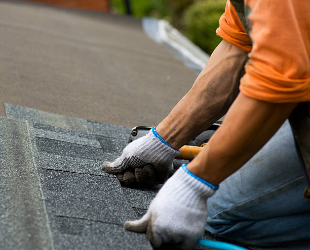 Best Shingle Roofing Installation  in Tecumseh, NE