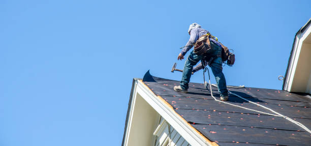 Best Roof Maintenance Services  in Tecumseh, NE